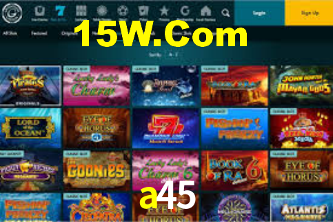 Premium Interface a45
